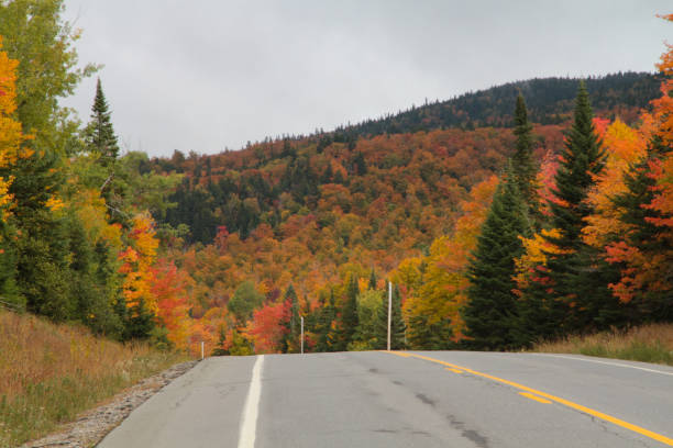istock Indian summer at Quebec´s countryside 1200197039