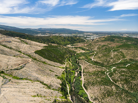 Roads in the hills near to Angol in Araucania Region, southern Chile