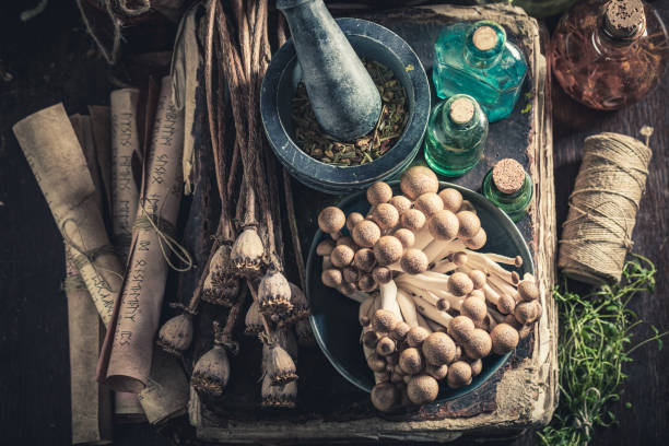 istock Unique herbalist laboratory with herbs and mushrooms 1200197546
