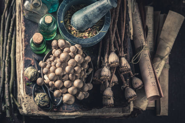 istock Extraordinary herbalist laboratory with ingredients and herbs 1200200134