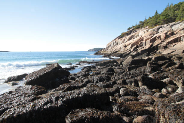 istock Acadia National Park, Maine, USA - Part 2 1200200836