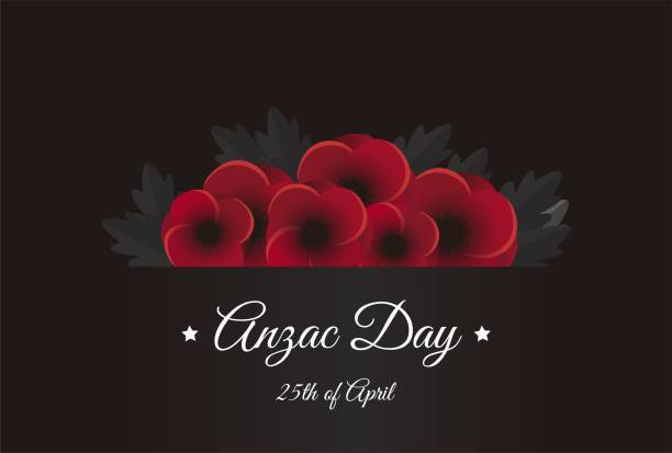 ilustrações, clipart, desenhos animados e ícones de anzac dia 25 de abril vetor - poppy field remembrance day flower