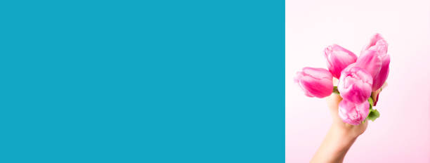istock Female hand with tulips on pink and blue backdrop 1200206207