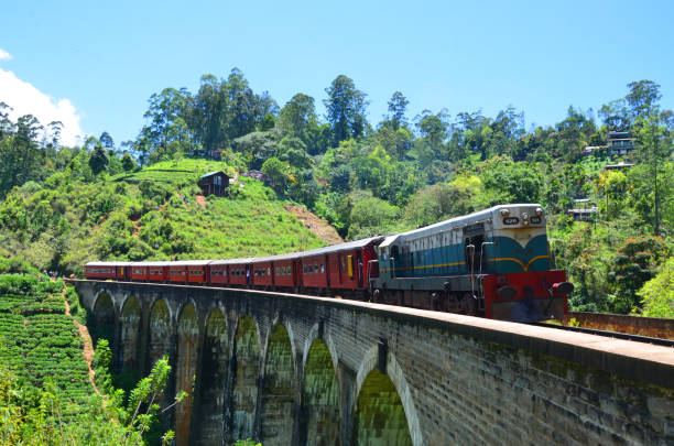Train passing the The Nine Arches Bridge at Sri Lanka. The train trip from Ella to Kandy, in Sri Lanka, is one of the most scenic and beautiful journeys in the world. The Nine Arches Bridge best examples of colonial-era railway construction in sri lanka. colombo train stock pictures, royalty-free photos & images