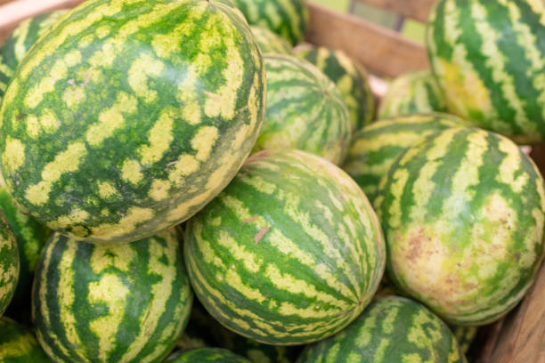 istock Large watermelons, in a box, in a supermarket. 1200209436