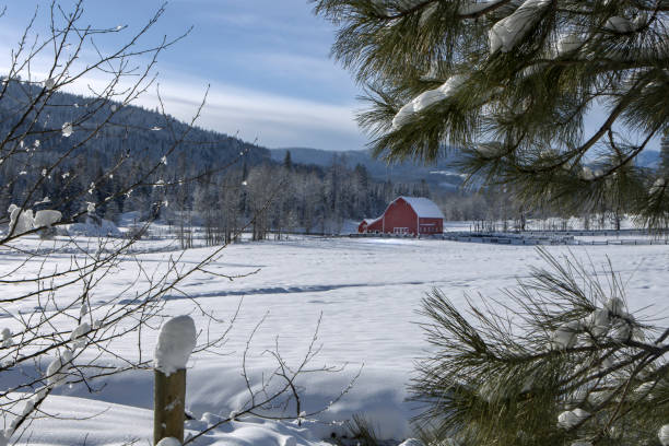 istock Looking through trees at the barn in snow. 1200238625