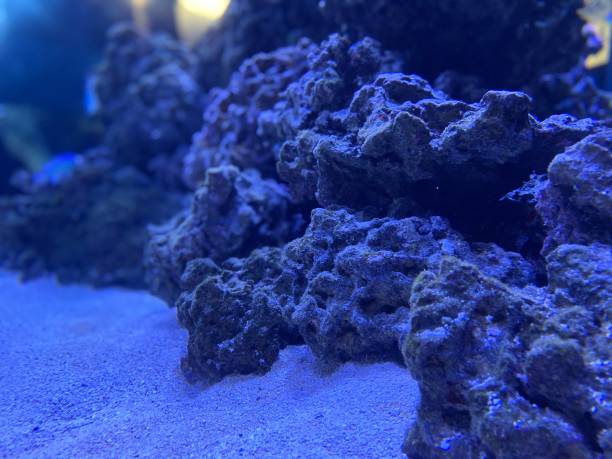 istock Underwater landscape stone in classic blue color 1200240333