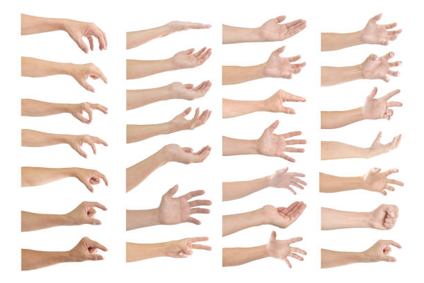 istock Set of male hand gestures isolated on a white background. 1200241244