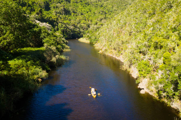 istock Family paddling up a river in the forest 1200253171