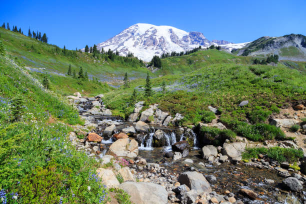 istock Mount Rainier National Park landscape 1200259083