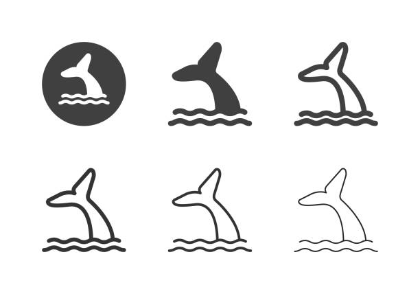 illustrations, cliparts, dessins animés et icônes de icônes de queue de baleine - série multi - nautical vessel journey diving flipper