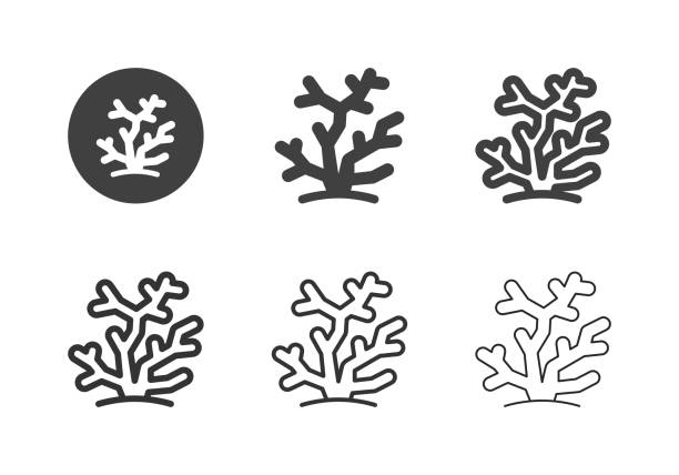 サンゴの海のアイコン - マルチシリーズ - 刺胞動物 サンゴ点のイラスト素材／クリップアート素材／マンガ素材／アイコン素材