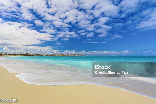 Island Beach Stock Photo - Download Image Now - Bahamas, Beach, Green Color