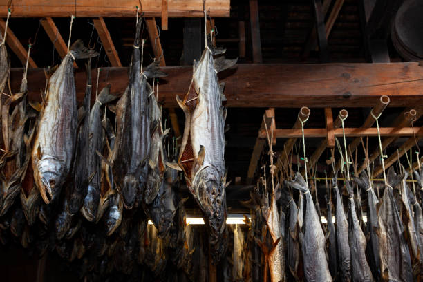istock Japanese traditional dried salmon 1200265432