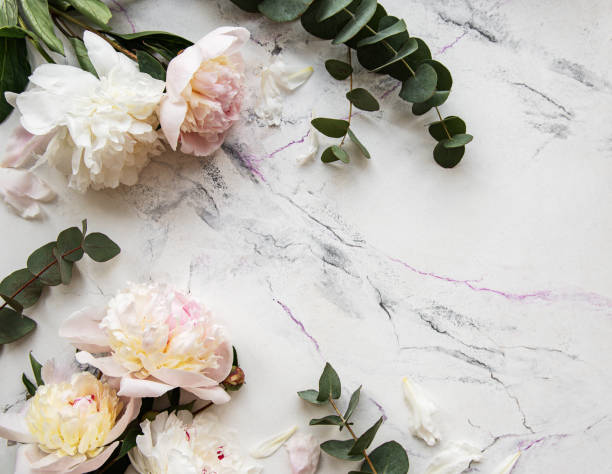 istock Pink peonies on a marble background 1200275457