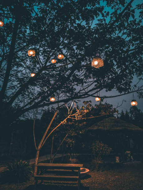 istock Night time park bench in Bangladesh 1200280662