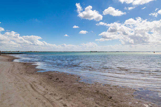 istock Honeymoon Island, Florida 1200282260