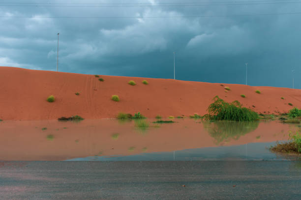 Desert storm clouds contrasted with bold burnt orange colored sand and flooded waters on the sand highlighted green flora and fauna after a storm on the sand dunes. stock photo