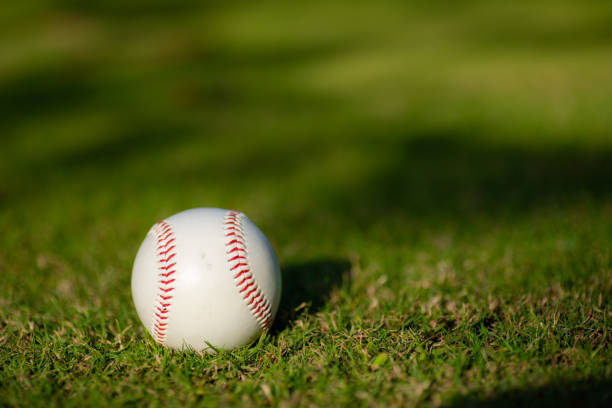 istock A white used baseball on the fresh green grass with copy space 1200288759