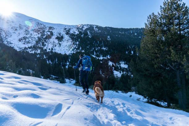 istock Excursionist man with his dog in a winter day with snow. 1200292036