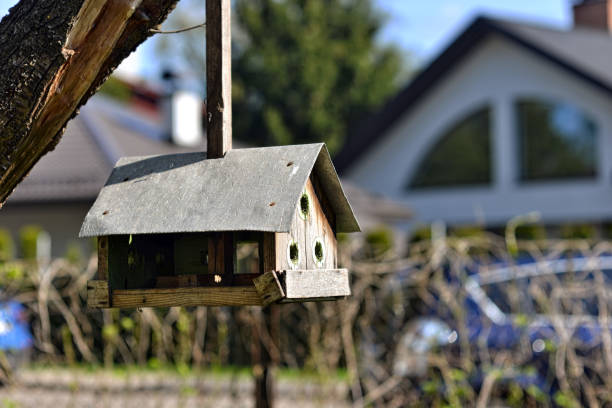 istock Handmade bird feeder hanging on a tree in the yard - image 1200294226