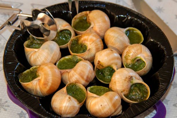 escargots de bourgogne prêts à la dégustation - garlic butter snail garlic herb photos et images de collection