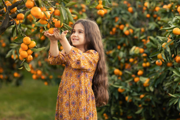 la ragazza si trova in giardino con mandarini e si prepara a raccogliere un raccolto maturo. - picking up foto e immagini stock