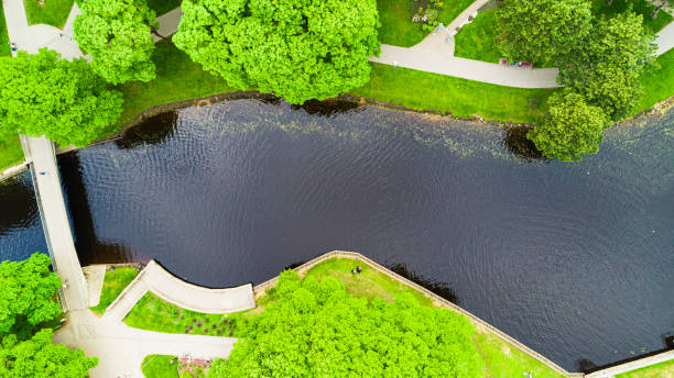 istock pond among plants in park at summer sunny day 1200297395