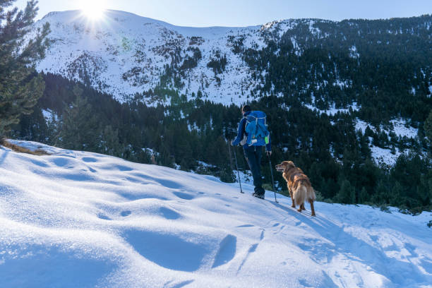 istock Excursionist man with his dog in a winter day with snow. 1200297982