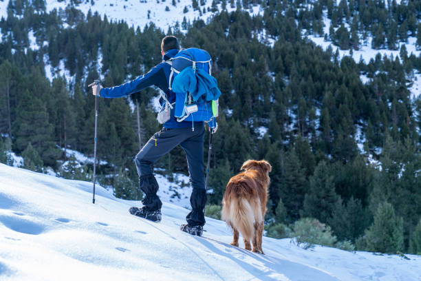 istock Excursionist man with his dog in a winter day with snow. 1200298152