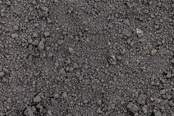 istock land soil close-up, detailed 1200300148