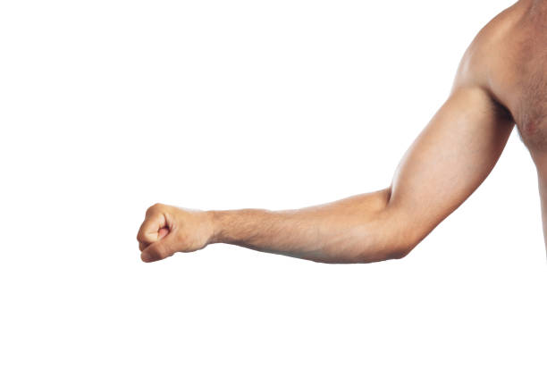 istock Hand punch isolated on white background, alpha male 1200301764