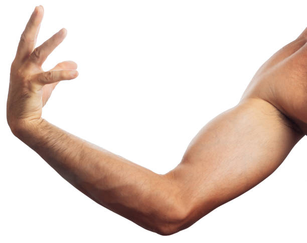 istock Close-up hand of a man with open palm 1200301771