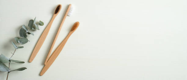 Eco-friendly bamboo toothbrushes and eucalyptus leaf on green background. Natural organic bathroom beauty product concept. Flat lay, top view, copy space