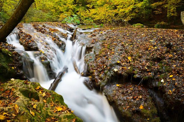 istock La Vaioaga Waterfall, Beusnita National Park, Romania 1200308024