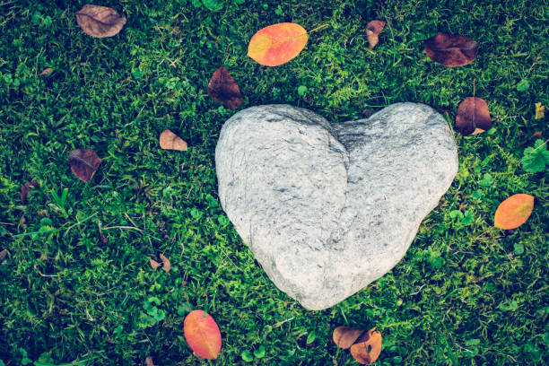 istock Sorrow and loss concept: Stone in heart shape on green grass 1200318621