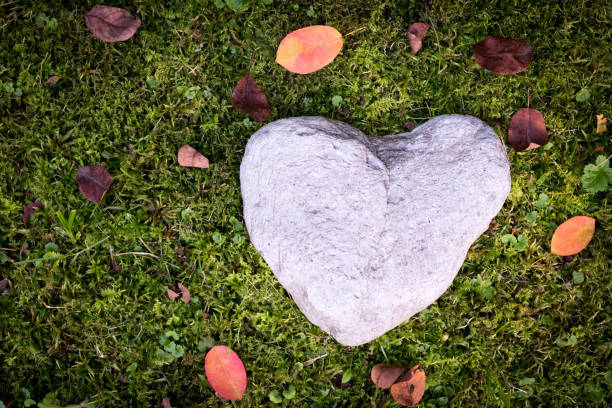istock Sorrow and loss concept: Stone in heart shape on green grass 1200318629