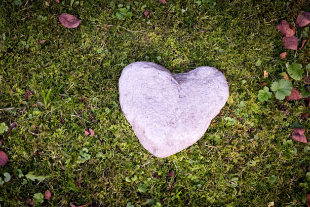 istock Sorrow and loss concept: Stone in heart shape on green grass 1200318651