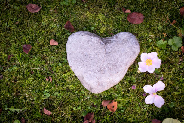 Sorrow and loss concept: Stone in heart shape on green grass stock photo