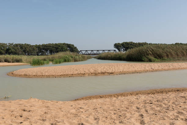 istock Shore of Sicily beach 1200318689