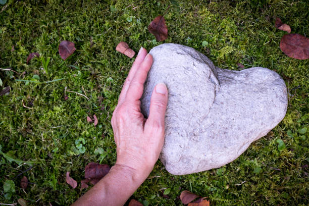 Sorrow and loss concept: Stone in heart shape on green grass Heart concept: Stone in heart shape is lying on the green grass place of burial stock pictures, royalty-free photos & images