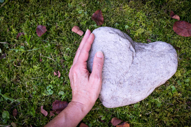 sorrow and loss concept: stone in heart shape on green grass - place of burial imagens e fotografias de stock