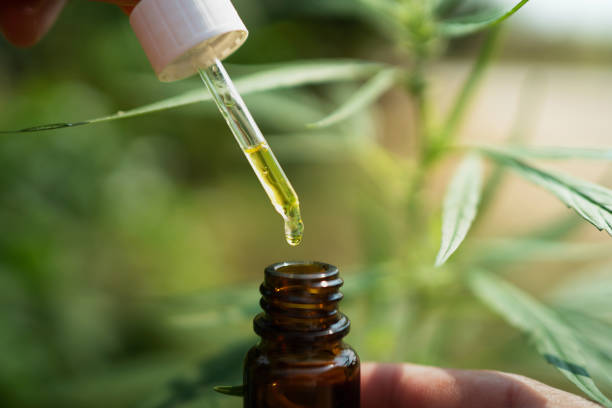 istock hemp oil dropper in bottle with cannabis tree background 1200319777