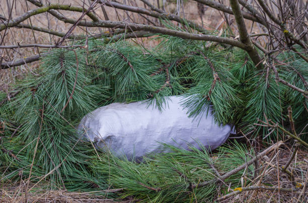 istock A find during a police raid along a forest road. 1200319874