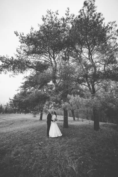 istock Happy bride and groom stand by the pine tree and hug 1200320838