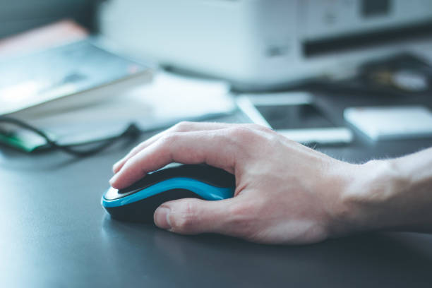Mouse Secretary 780+ Direct Secretary Stock Photos, Pictures & Royalty-Free Images - iStock
