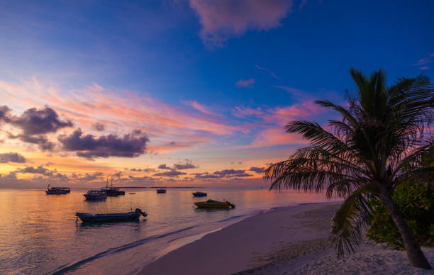 istock boats on the shore 1200322328