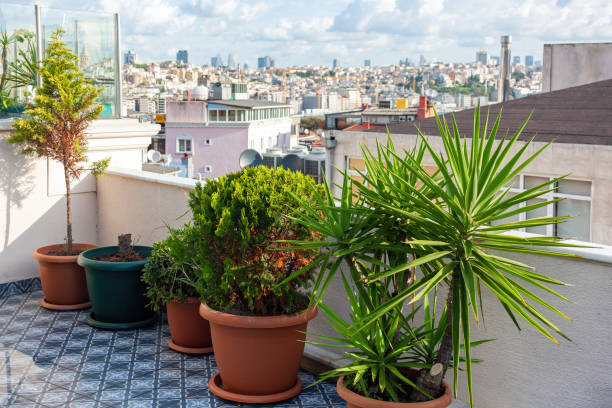 A beautiful terrace with flowers on the roof of the hotel in the historical center of Istanbul in Turkey, overlooking the city.