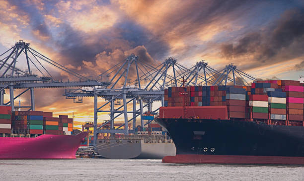 istock Logistics and container loading by large barges by sea in a harbor full of containers waiting to be transported 1200327752