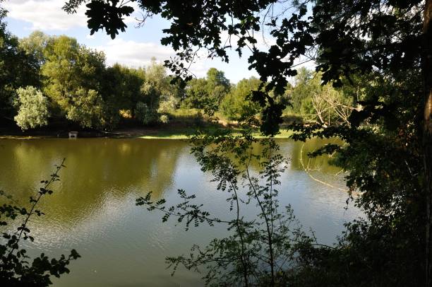 istock The Louet river in Anjou 1200329511